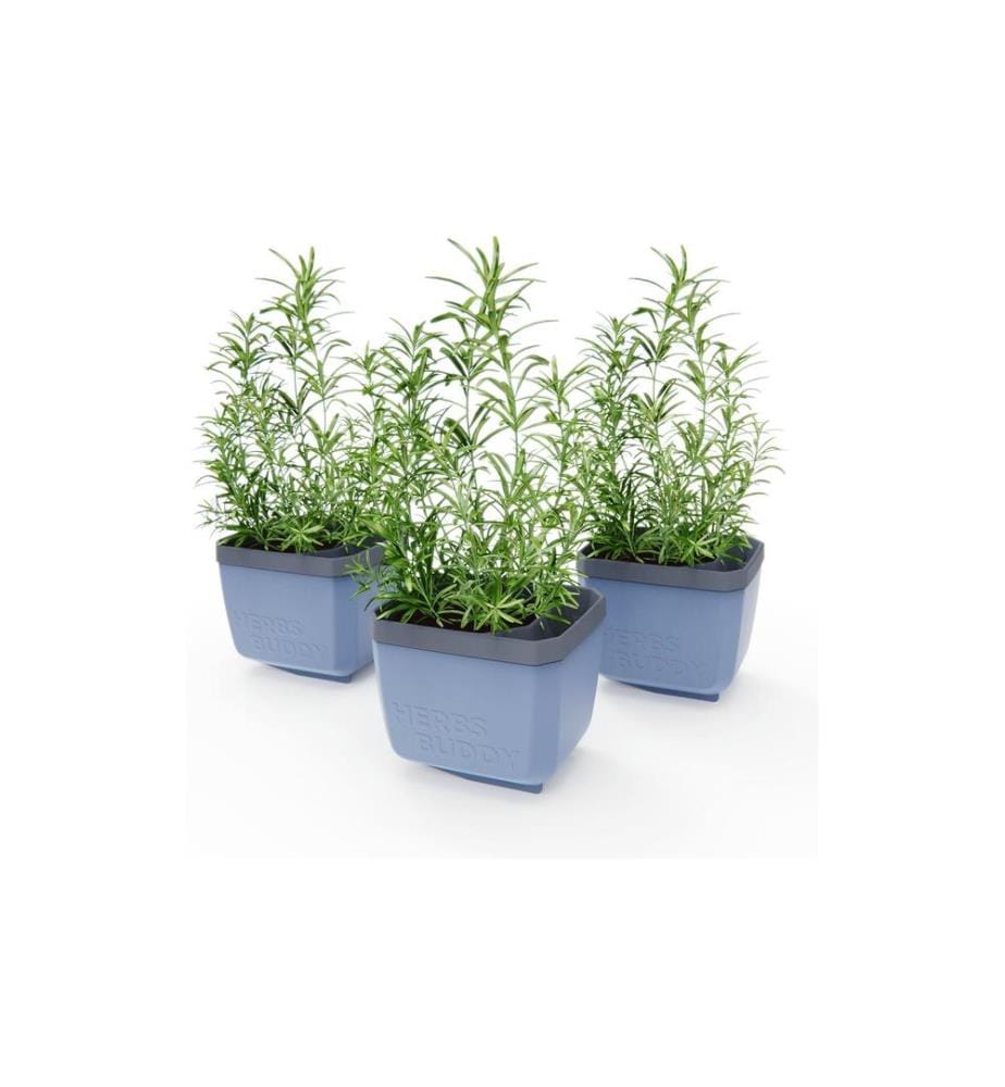 GUSTA GARDEN - HERBS BUDDY Kräutertopf 3er Set Blau