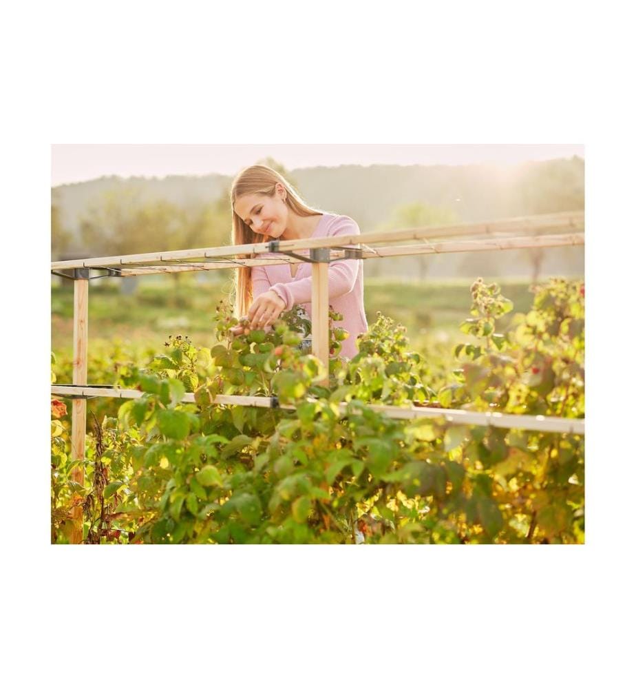 GUSTA GARDEN - BERRY BUDDY aide modulaire pour les baies extension Brun