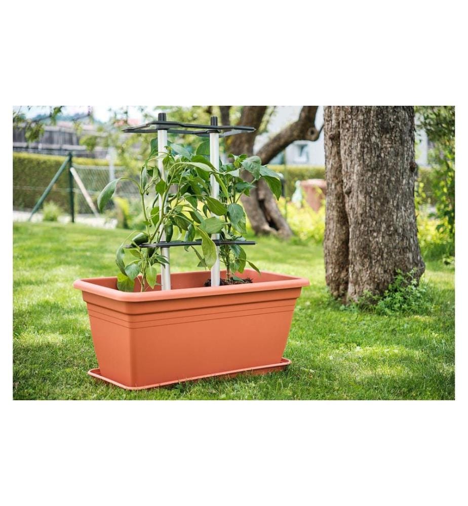 GUSTA GARDEN - CHILI BUDDY Treillis pour chilis & poivrons en kit de 3 pièces Argenté