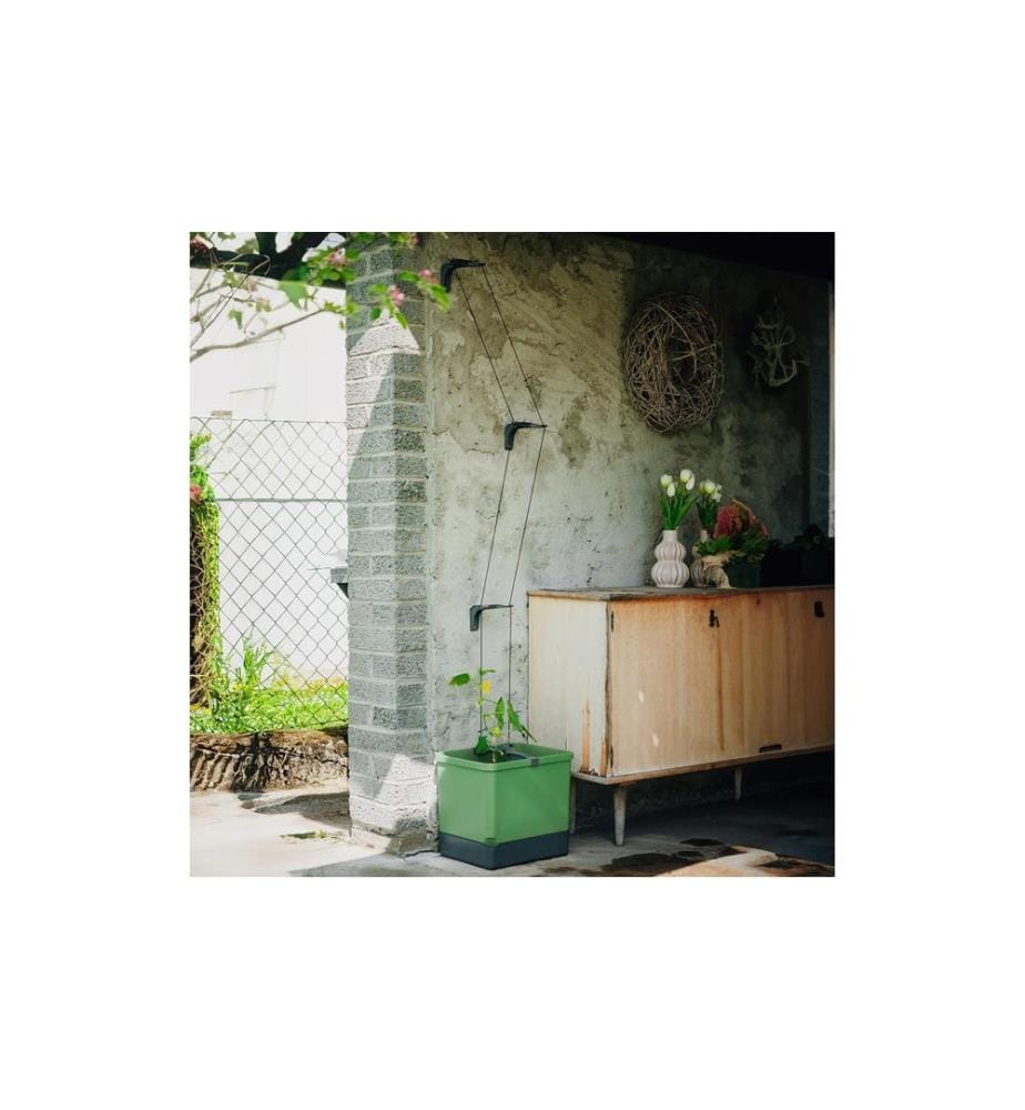 GUSTA GARDEN - CURT CUCUMBER Pot de concombre Vert