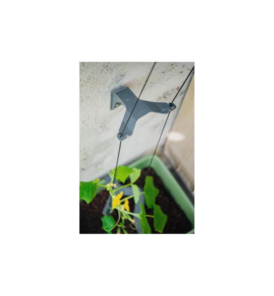 GUSTA GARDEN - CURT CUCUMBER Pot de concombre Vert