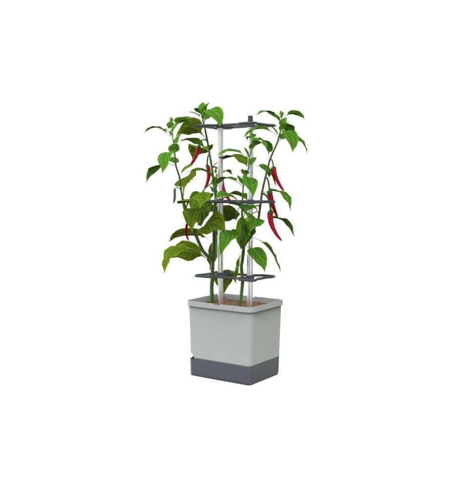 GUSTA GARDEN - Aufzuchttöpfe Charly Chili XL Hellgrau