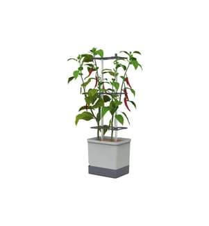 GUSTA GARDEN - Aufzuchttöpfe Charly Chili XL Hellgrau