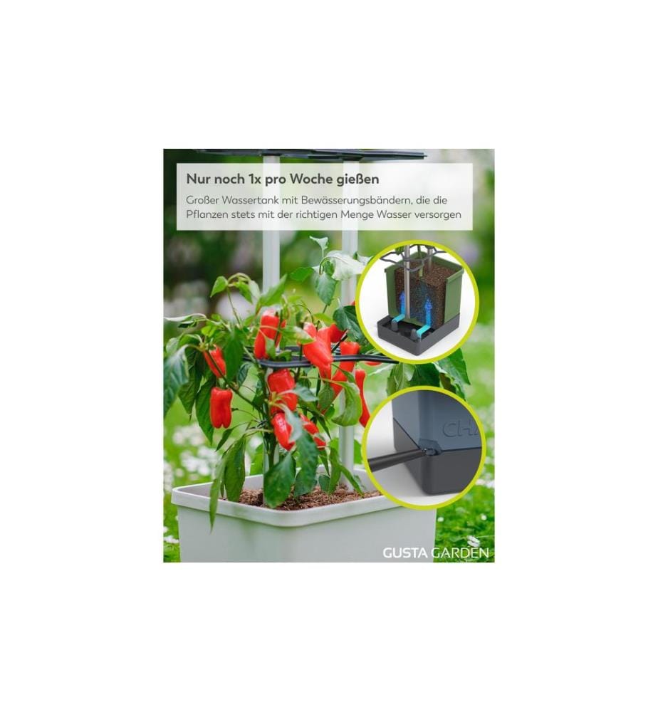 GUSTA GARDEN - Aufzuchttöpfe Charly Chili XL Hellgrau