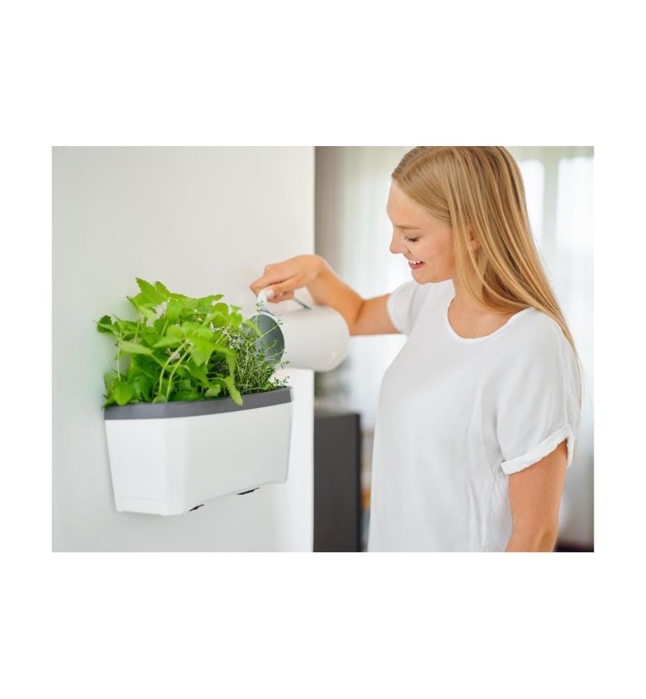 GUSTA GARDEN - Wandhalterung HARRY HERBS, Schwarz
