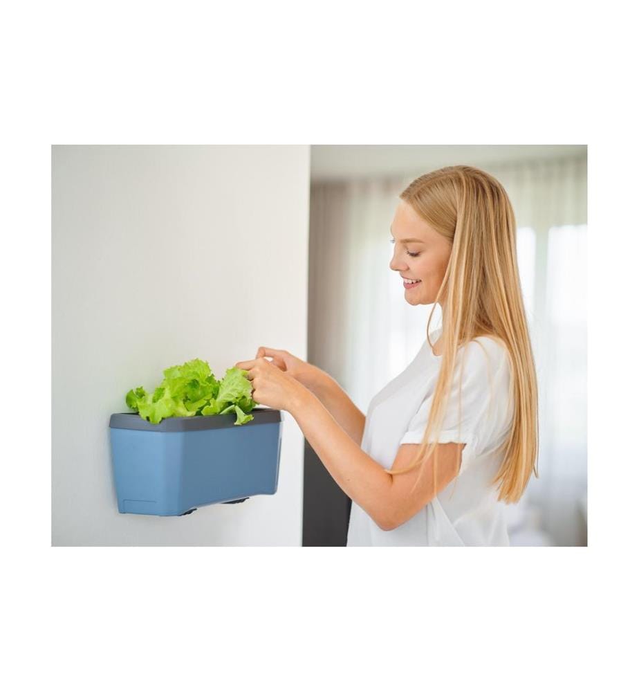 GUSTA GARDEN - Wandhalterung HARRY HERBS, Schwarz