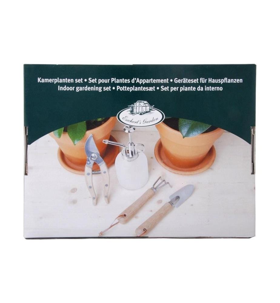 ESSCHERT DESIGN - Kit de plantes à cannelle 4 pièces