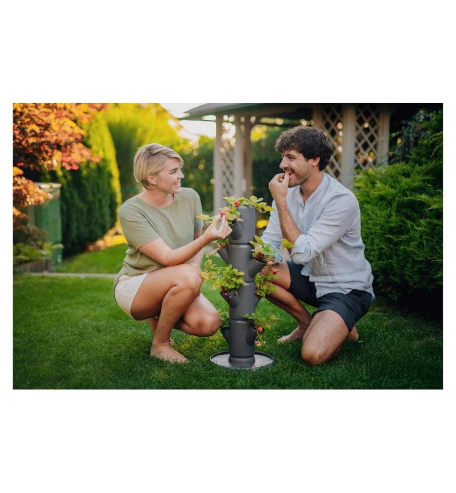 GUSTA GARDEN - Aufzuchttöpfe SISSI STRAWBERRY Starterset, Anthrazit