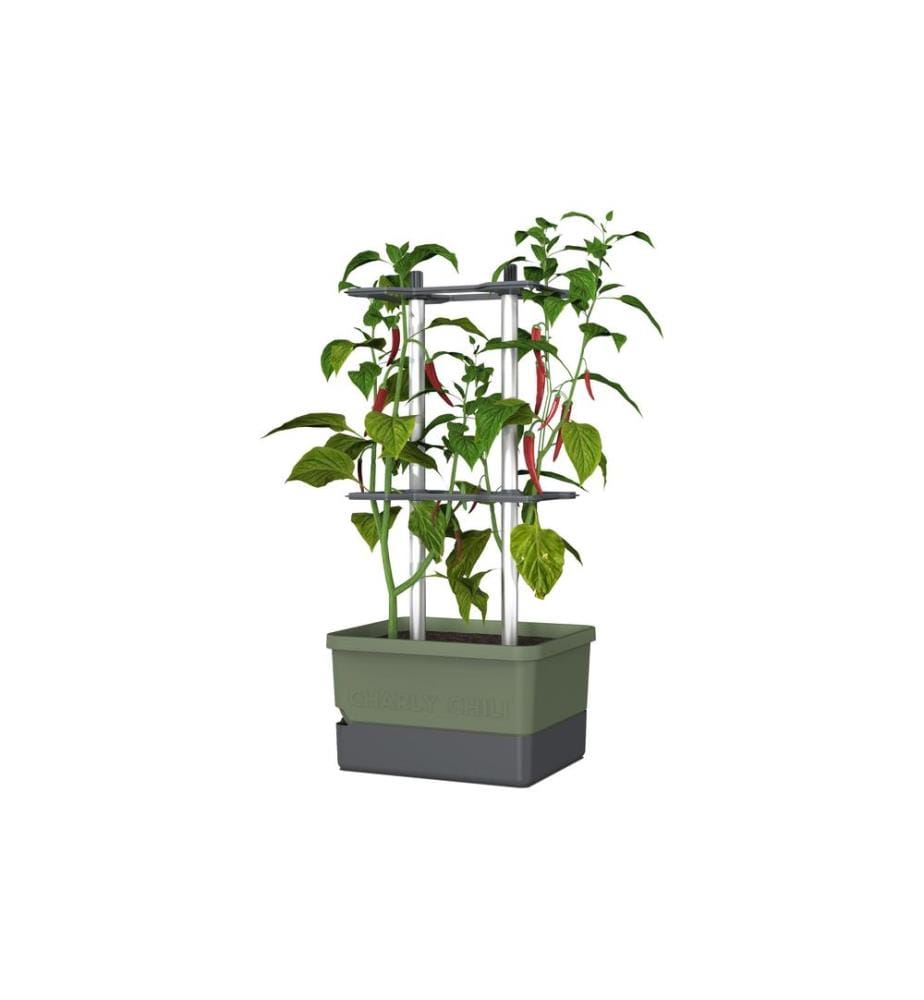 GUSTA GARDEN - Pflanzentopf CHARLY CHILI Starterset, Dunkelgrün