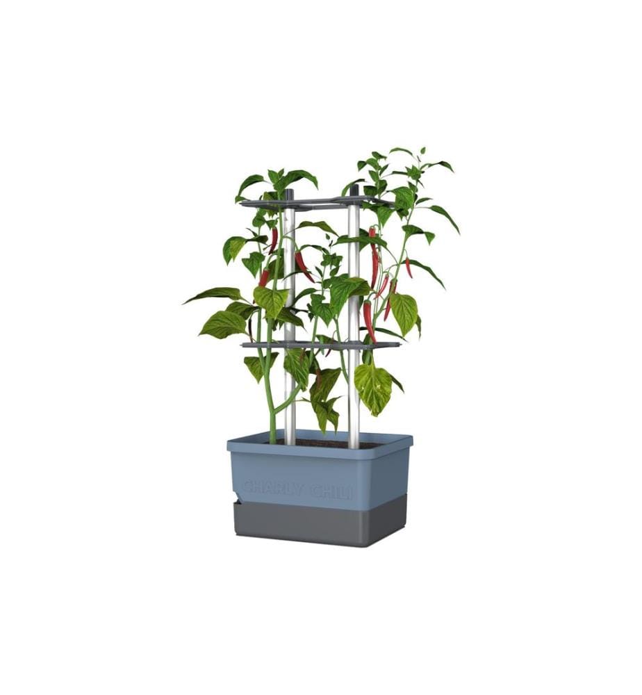 GUSTA GARDEN - Pflanzentopf CHARLY CHILI Starterset, Blau