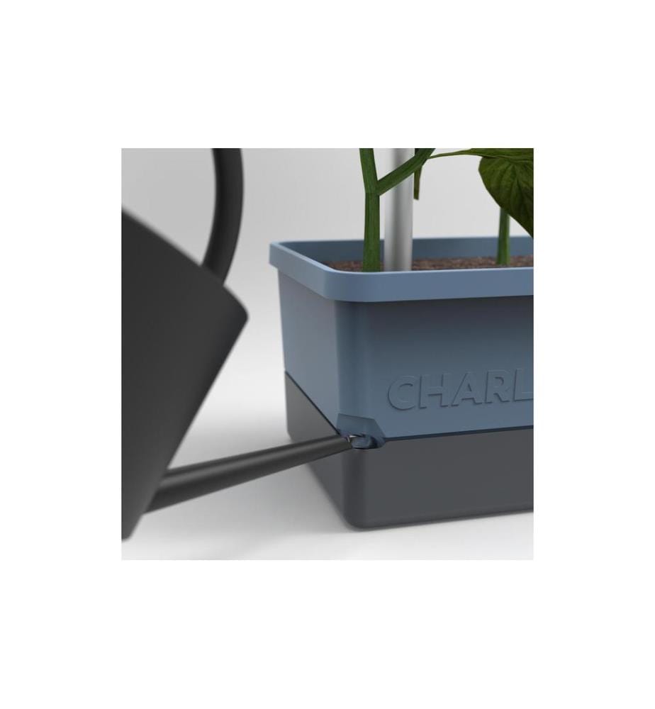 GUSTA GARDEN - Pflanzentopf CHARLY CHILI Starterset, Blau