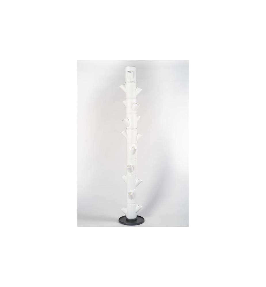 GUSTA GARDEN - Aufzuchttöpfe SISSI STRAWBERRY Infinity, Weiss
