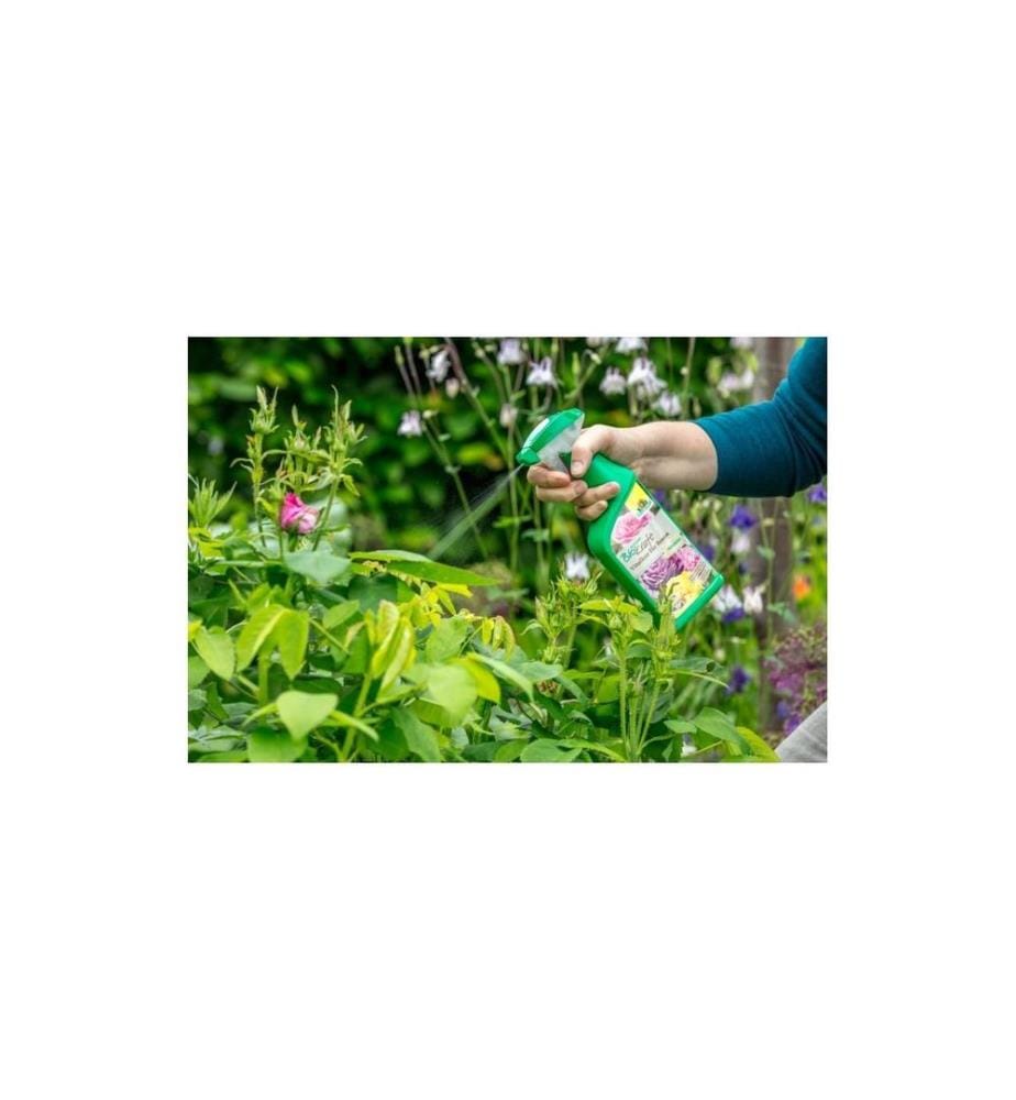 NEUDORFF - Cure vitale BioKraft pour les roses AF, 500 ml