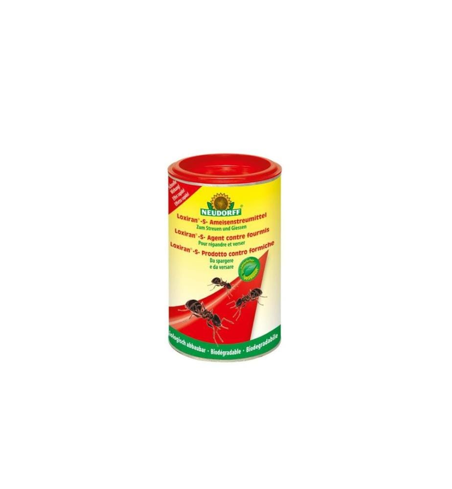 NEUDORFF - Piège à insectes Loxiran-S-Fourmis moyen, 100 g