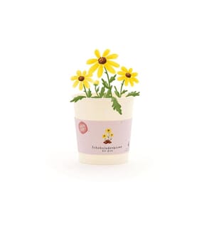 Die Stadtgärtner - Salutation florale Fleur de chocolat