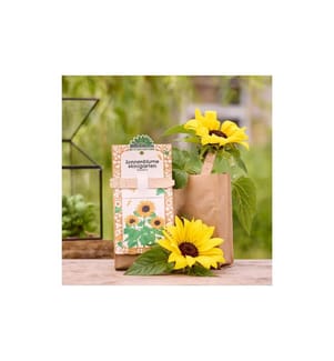 Die Stadtgärtner - Anzuchtset Sonnenblume