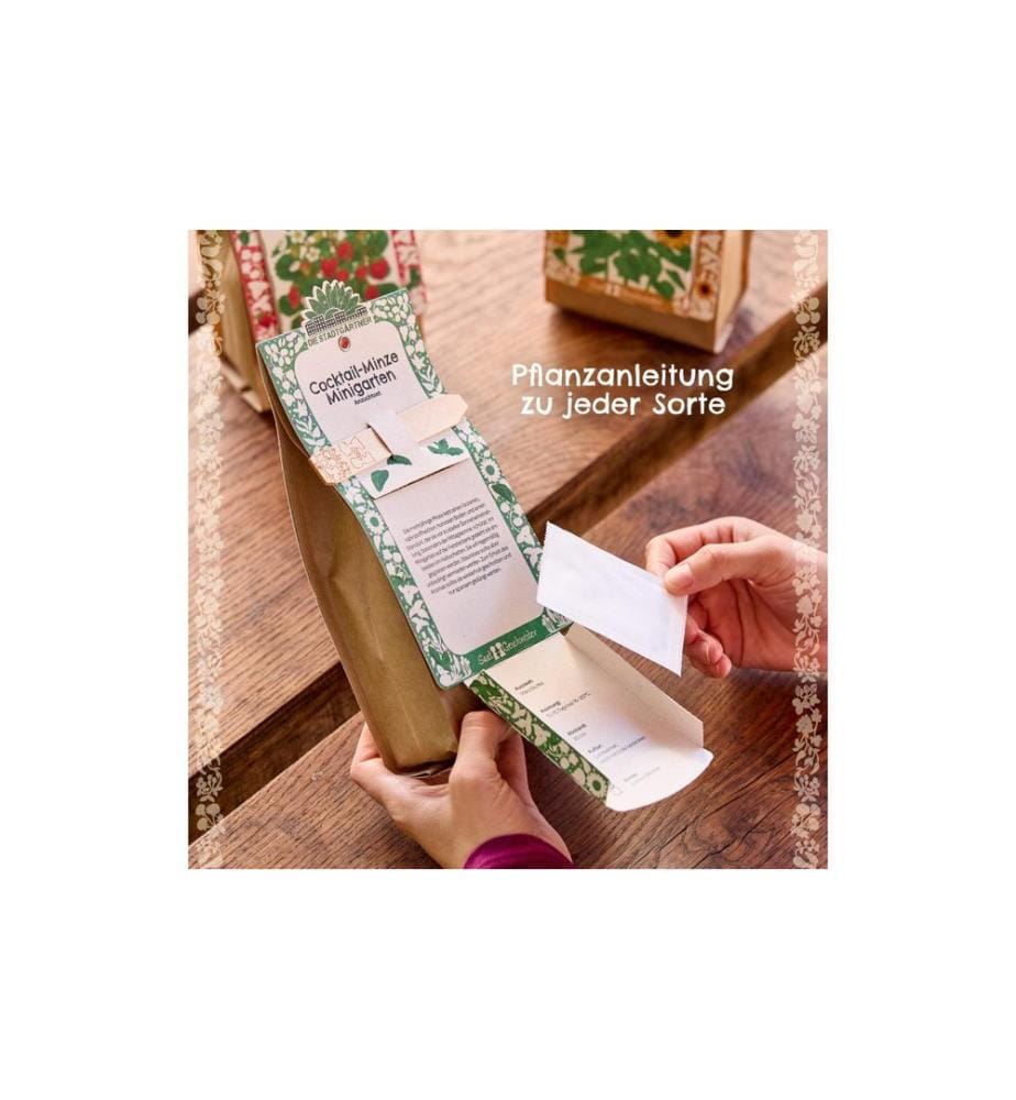 Die Stadtgärtner - Anzuchtset Erdbeere