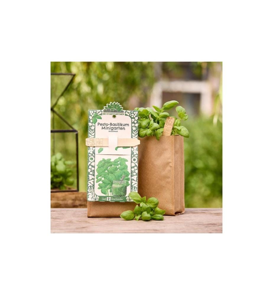 Die Stadtgärtner - Kit de culture pesto basilic