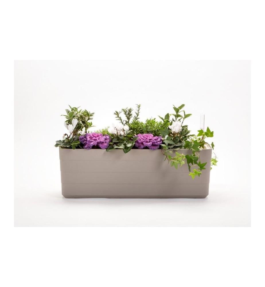 Plastia - Bewässerungskasten Berberis 80 cm Taupe