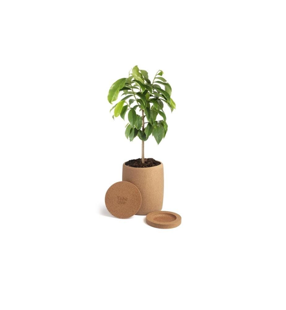 Tree Urn - Cure de liège biodégradable pour animaux domestiques Brun clair