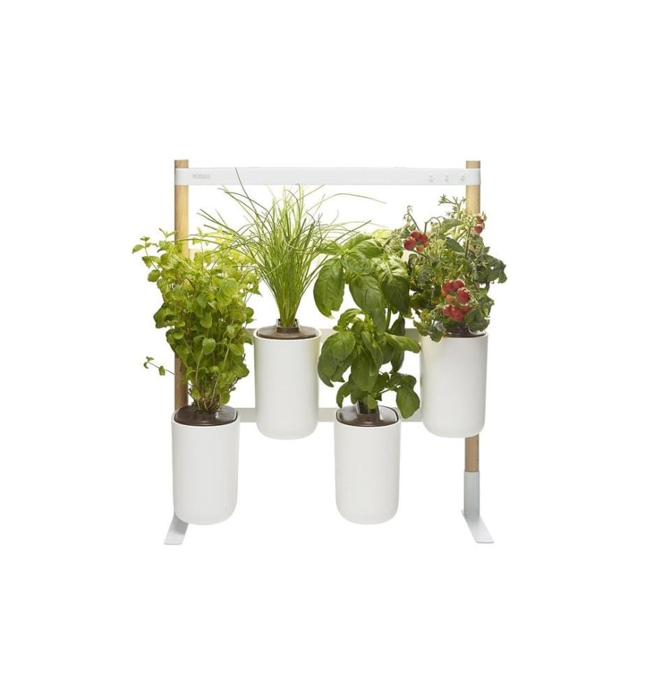 Prêt à Pousser - Pot à herbes aromatiques Indoor Modulo 3 Blanc