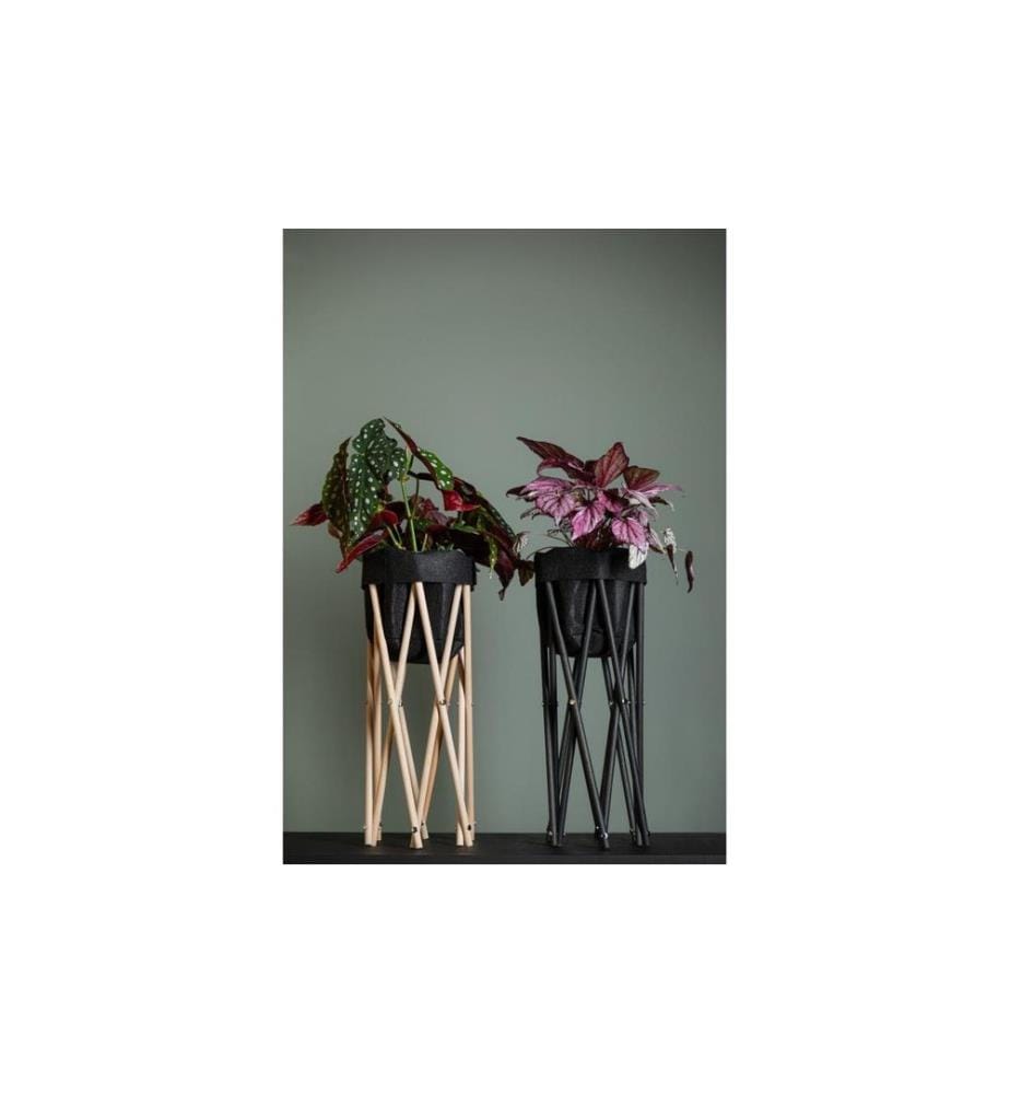 NEOGARD AG - Trépied pour plantes Seda 50, Nature