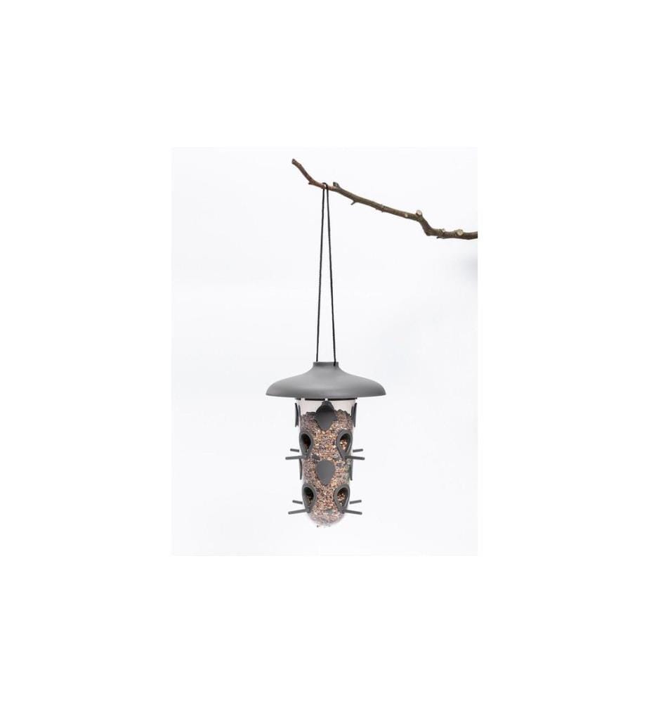 Plastia - Robin 3-in-1 Vogelfutterhaus, Vogeltränke Anthrazit