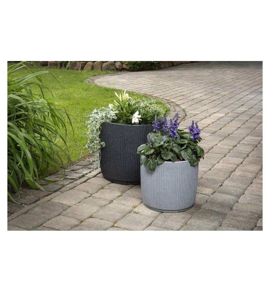 SCHEURICH - Linetto 30/259 Granit