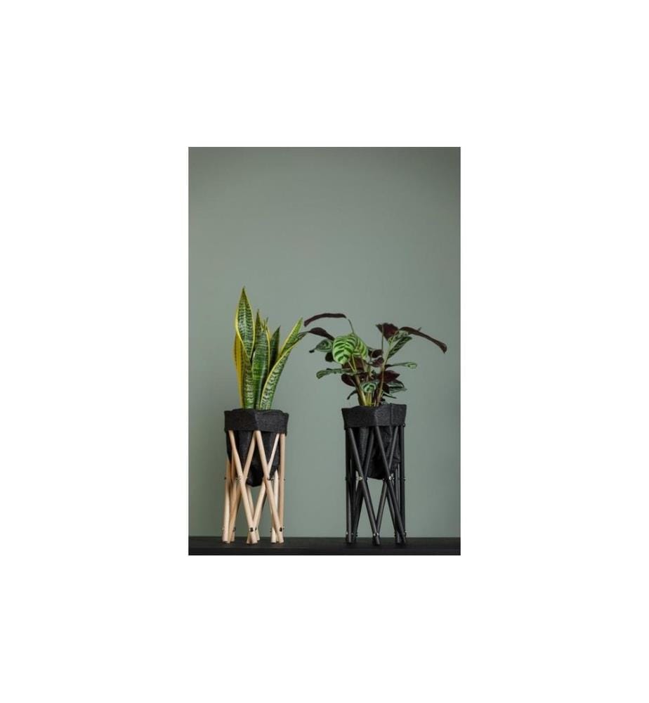 NEOGARD AG - Trépied pour plantes Seda 30, Nature