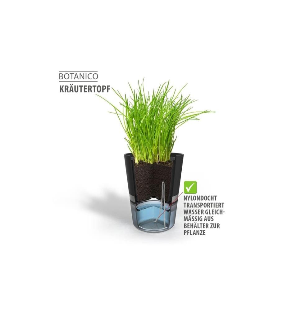 GEFU - Pot à herbes aromatiques Botanico Transparent/Noir/Argenté
