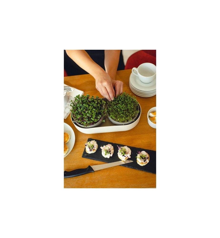 Plastia - Urbalive Set Kit de germination Microgreens et hydroculture