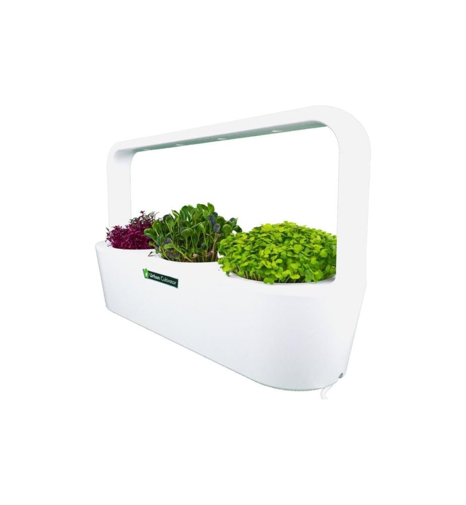 CLICK AND GROW - Indoor-Garten MicroBuddy, Weiss 38 cm