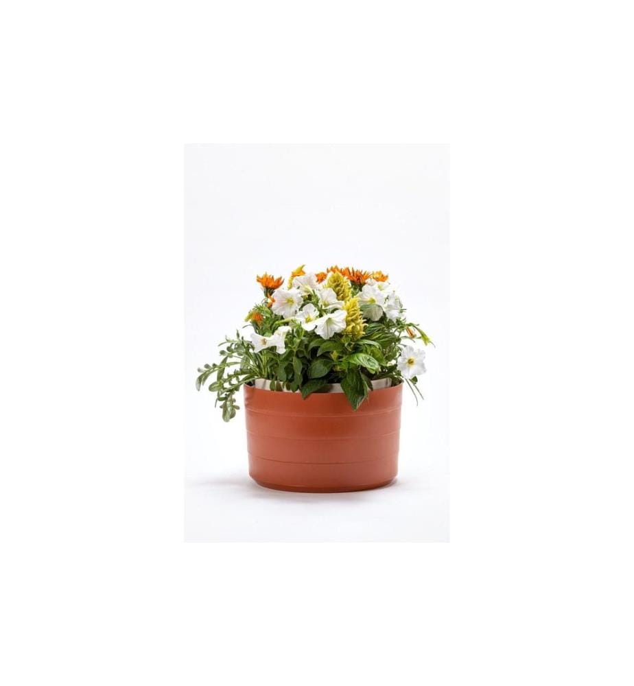Plastia - Suspension d'irrigation Berberis 26 cm trois rubans Brun