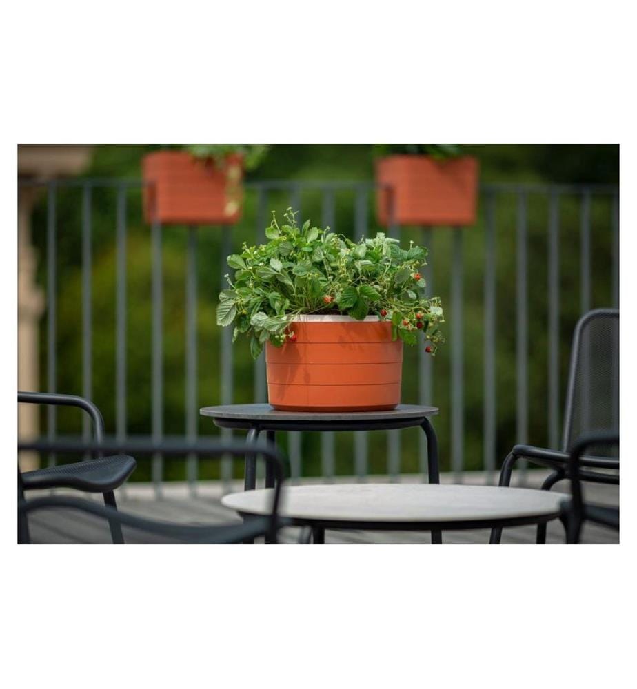 Plastia - Suspension d'irrigation Berberis 26 cm trois rubans Brun