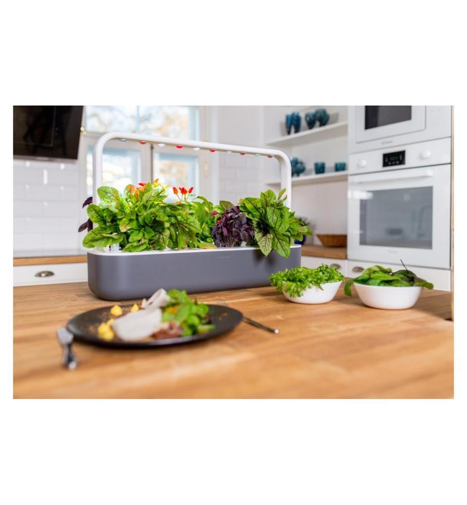 CLICK AND GROW - Kräutertopf Smart Garden 9 Dunkelgrau