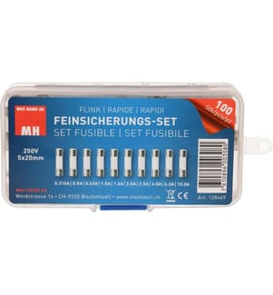 MAX HAURI - Schmelzsicherung Set 5 x 20 mm Flink, 100 Stück