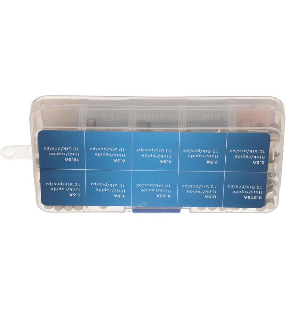 MAX HAURI - Schmelzsicherung Set 5 x 20 mm Flink, 100 Stück