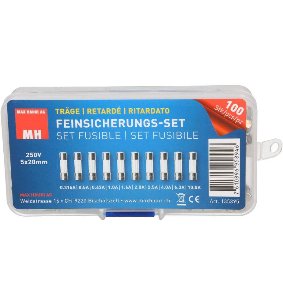 MAX HAURI - Schmelzsicherung Set 5 x 20 mm Träge, 100 Stück