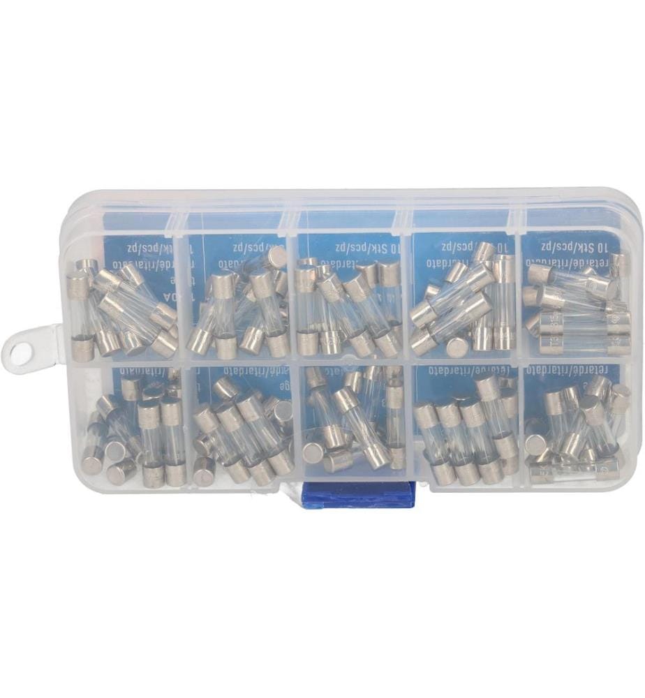 MAX HAURI - Schmelzsicherung Set 5 x 20 mm Träge, 100 Stück