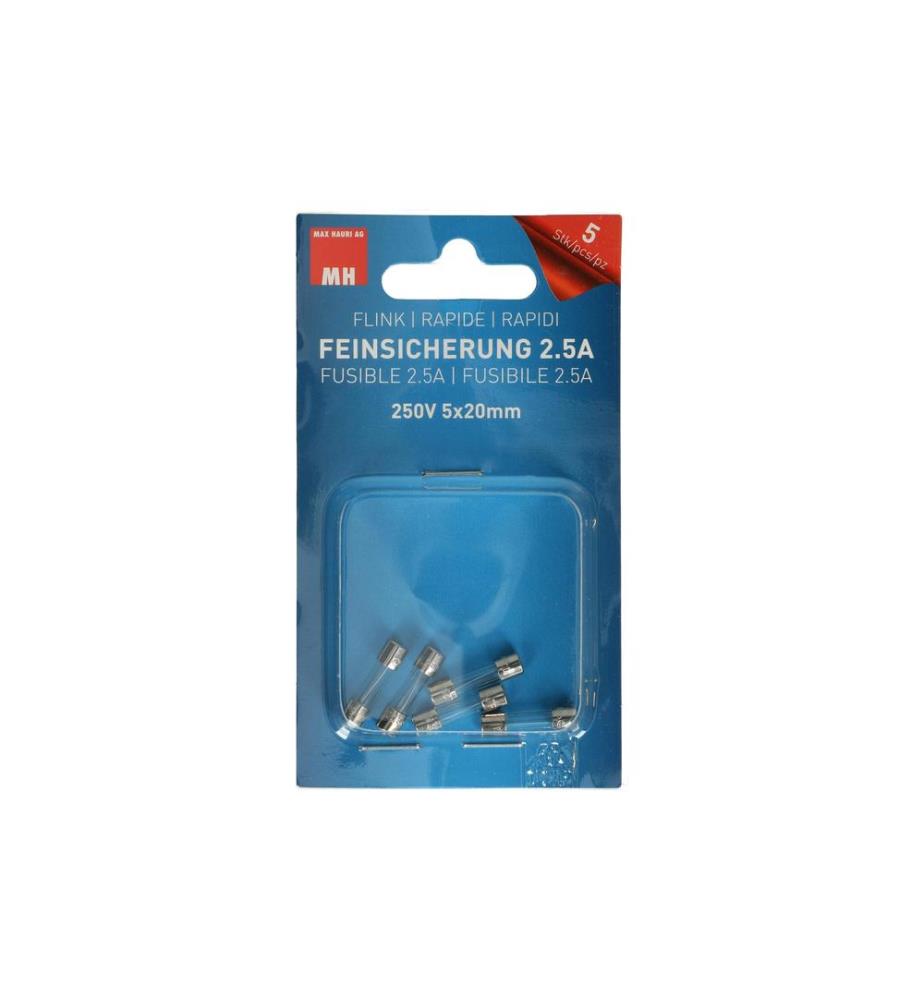 MAX HAURI - Schmelzsicherung 5 x 20 mm Flink 2.5 A, 5 Stück