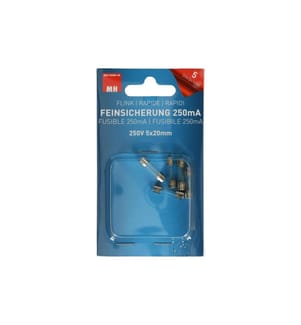 MAX HAURI - Schmelzsicherung 5 x 20 mm Flink 0.25 A, 5 Stück