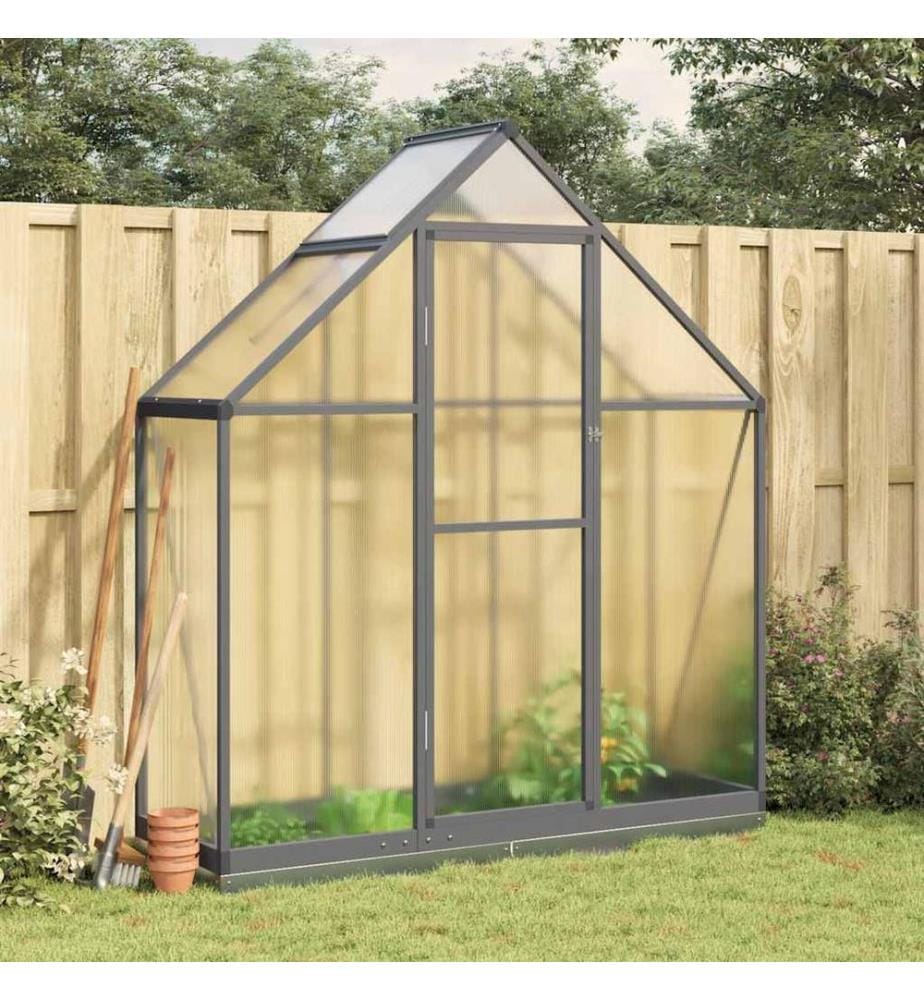Gewächshaus mit Fundamentrahmen Anthrazit 169x58x202 cm Alu