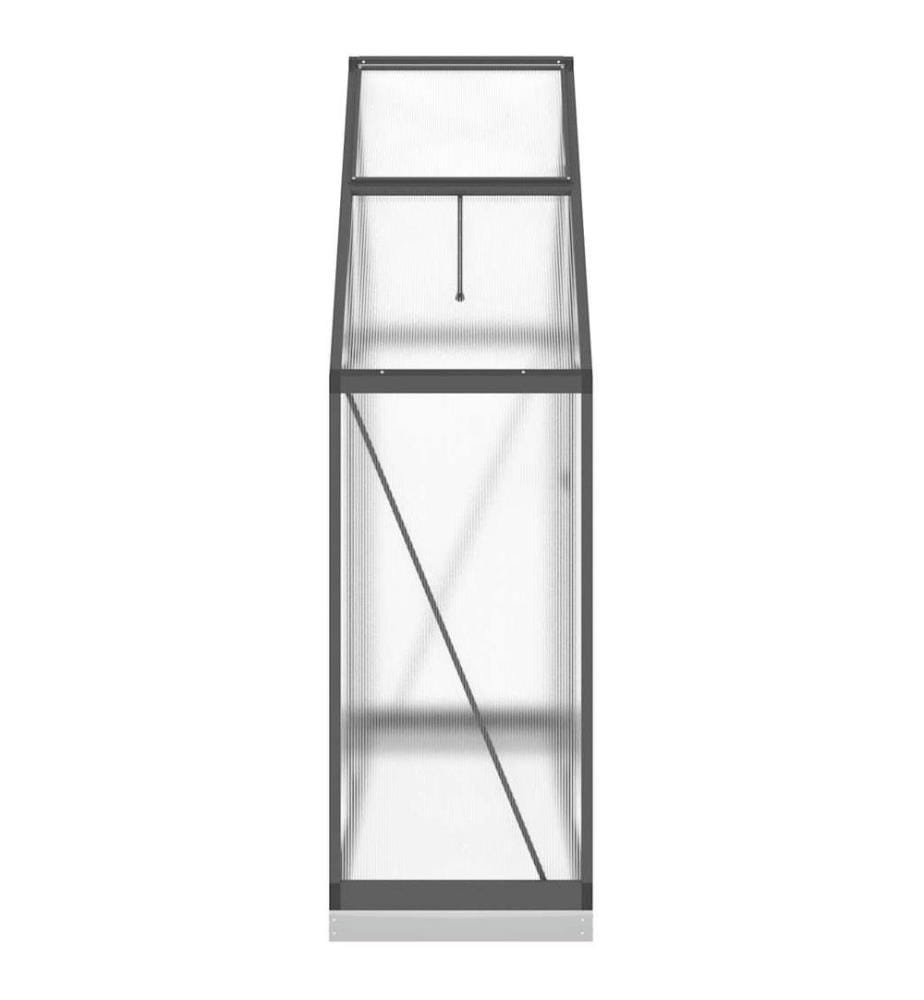 Gewächshaus mit Fundamentrahmen Anthrazit 169x58x202 cm Alu