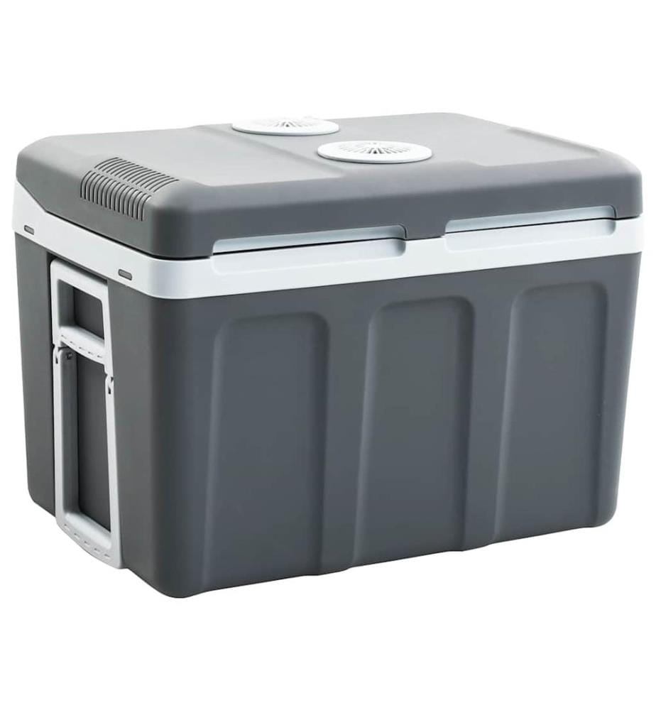 Thermoelektrische Kühlbox Mobil 40 L 12V 230V E