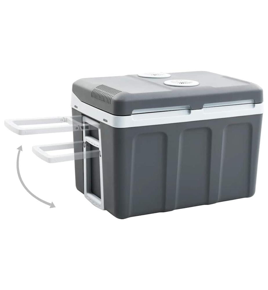 Thermoelektrische Kühlbox Mobil 40 L 12V 230V E