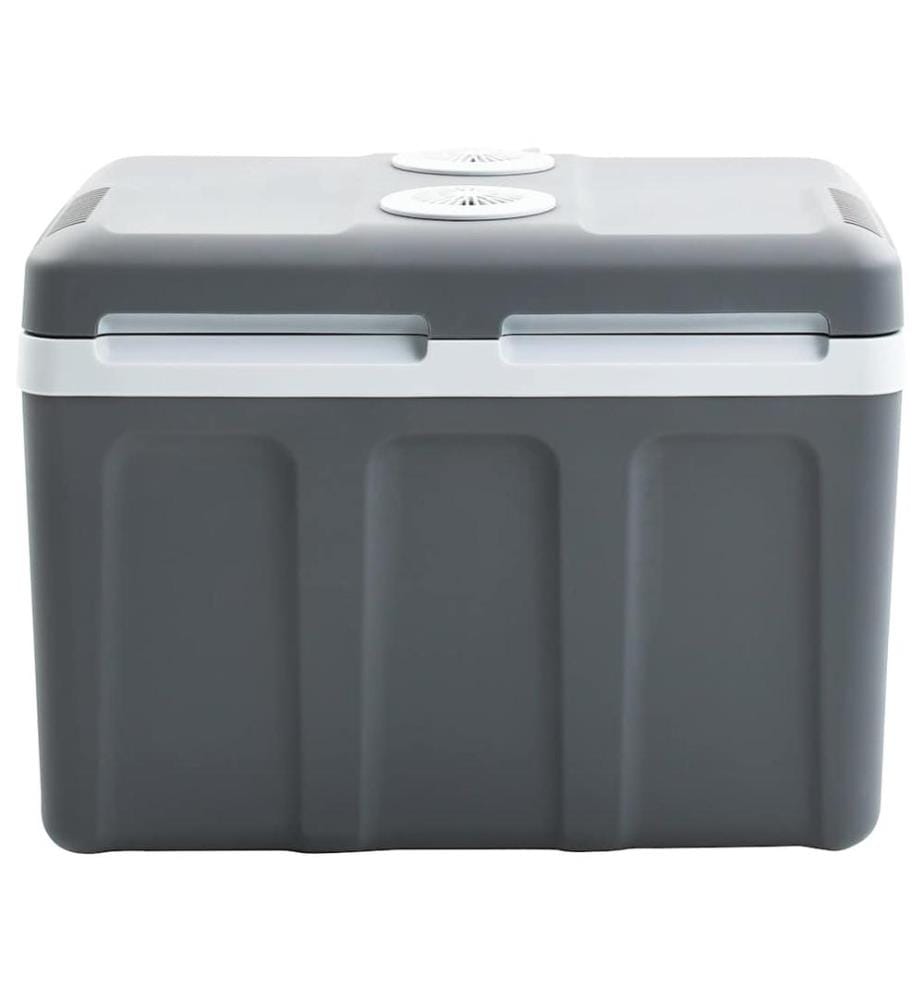 Thermoelektrische Kühlbox Mobil 40 L 12V 230V E