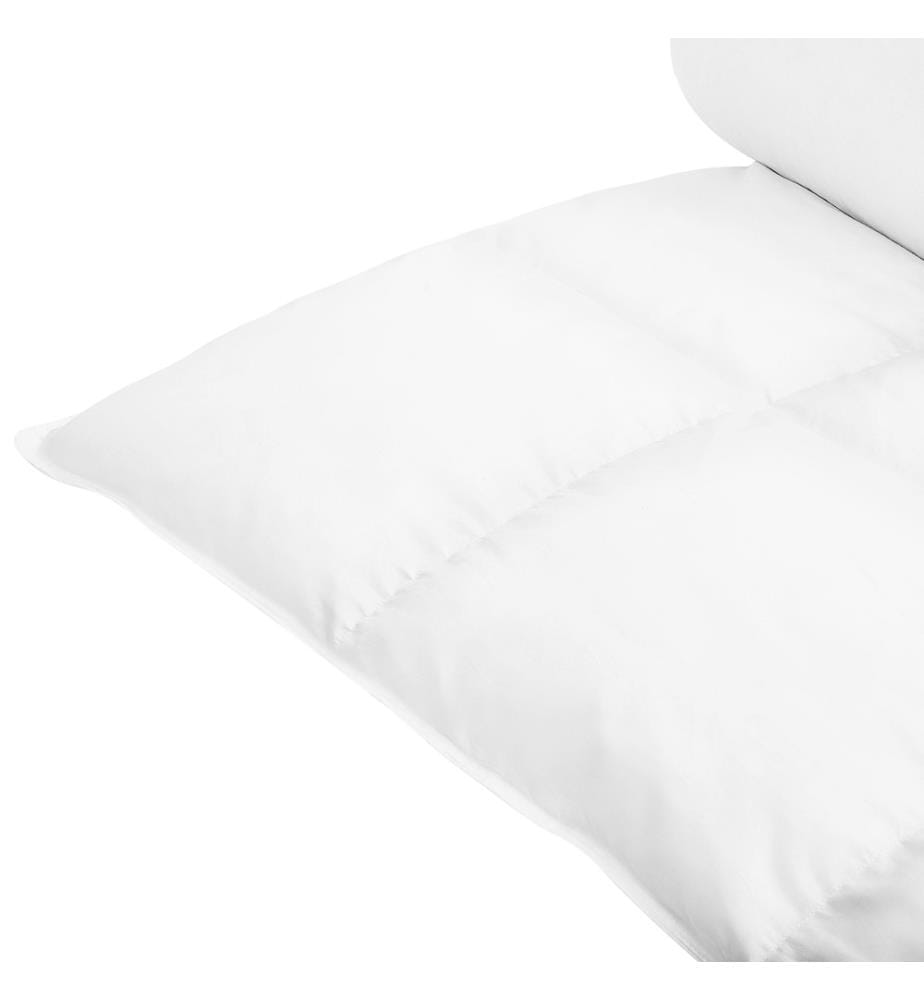 Bettdecke Weiss Japara Baumwolle Entendaunen 155 x 220 cm Extra Warm geräuscharm luftdurchlässig leicht Winter Schlafzimmer
