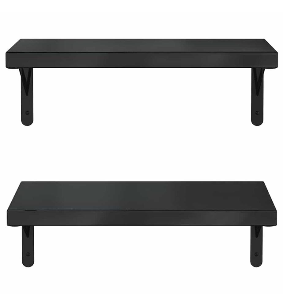 Wandregale 2 Stk. 50x23,5 cm Schwarz Edelstahl