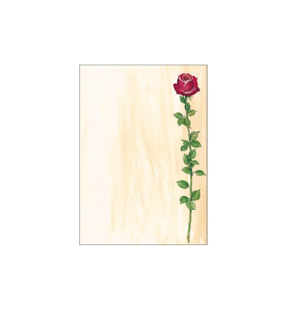 SIGEL - Papier à motif Rose Bloom A4, 25 feuilles