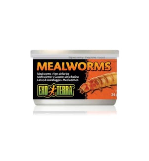 Exo Terra - Dosenfutter Mealworms, 34 g